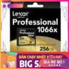 sausam0103  Thẻ nhớ 256GB CF Lexar Professional 1066X 160M/s | BigBuy360 - bigbuy360.vn
