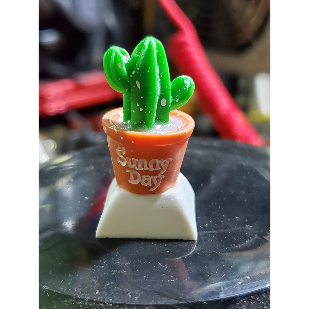 Keycap chậu hoa xương rồng, nút bấm bàn phím cơ hình cây xương rồng
