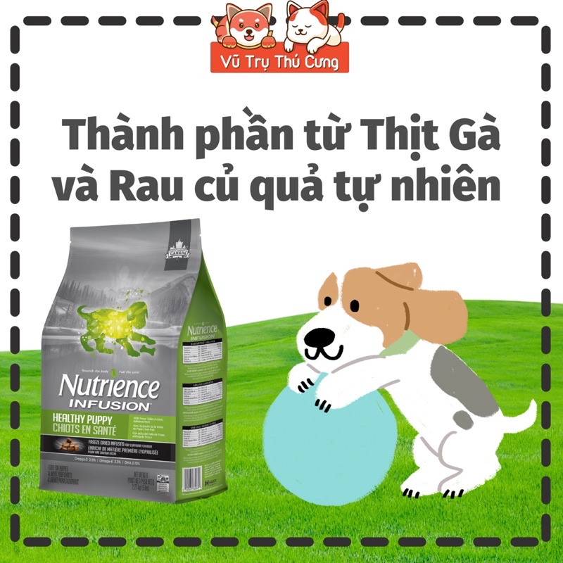 Hạt Nutrience Infusion cho Chó con, vị gà rau củ 500g
