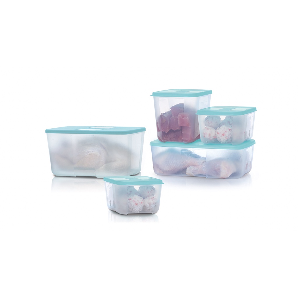 Bộ 5 hộp trữ đông Tupperware Paradise