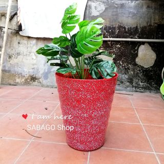 [Mẫu HOT] CHẬU NHỰA TRÒN VÂN ĐÁ CAO 35CM Siêu bền đẹp