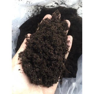 Peatmoss/Peatman hàng chuẩn - 1kg