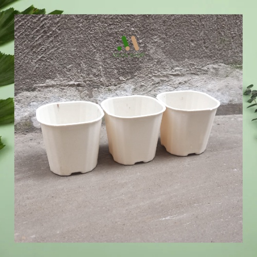 Chậu nhựa vuông cứng mini màu trắng trồng sen đá xương rồng AXUNSHOP size 7x7 giá tại xưởng