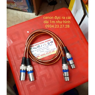 Dây Canon đực ra canon cái 1m ( 1 cặp )