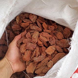 2 kg vỏ thông xay kt 3x4 cm vỏ dày