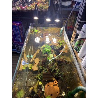 Đèn Rọi 3 Chế Độ