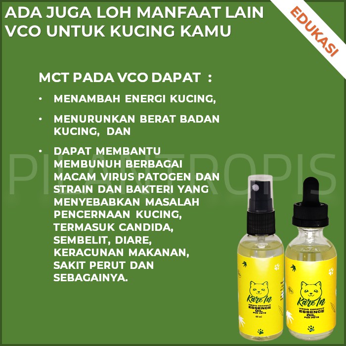 Lông vũ đồ chơi cho mèo cưng 60 ML