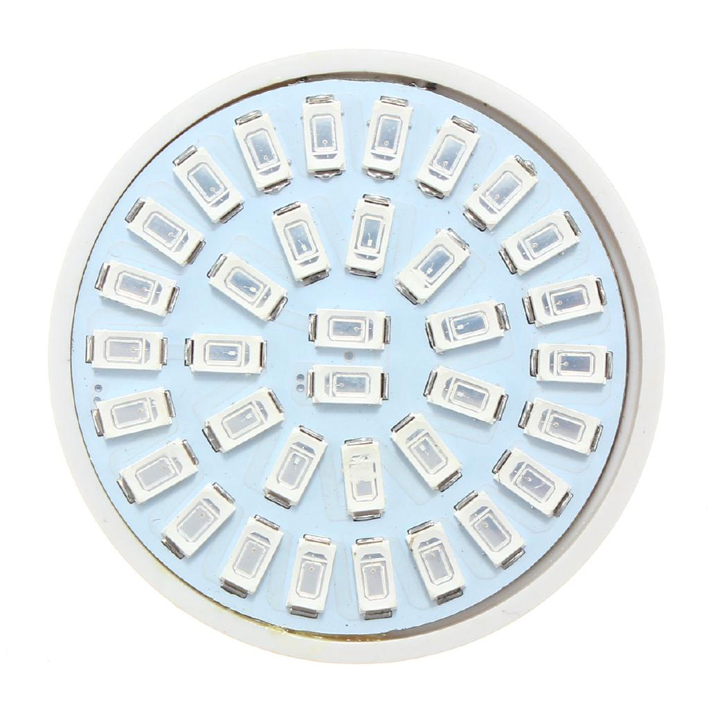 Đèn LED quang hợp cho cây E27 5W