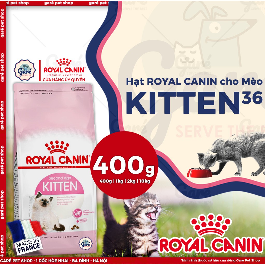 [Mã 99FMCGSALE giảm 8% đơn 500K] 10kg - Hạt Kitten 36 Royal Canin dành cho mèo con từ 4 - 12 tháng tuổi