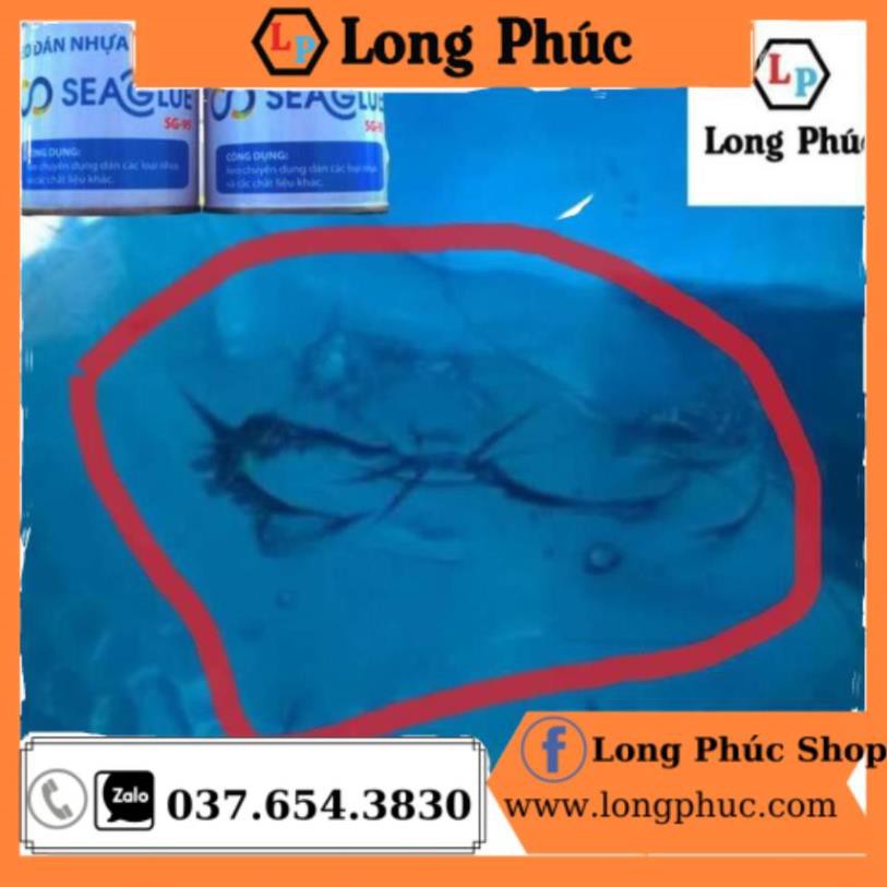 📦 1 lọ Keo Dán Bình Nước Seaglue SG-95|Trong Suốt, Chịu Nước, Chịu Nhiệt, Dính Chắc|Lọ 300gr|Long Phúc💖