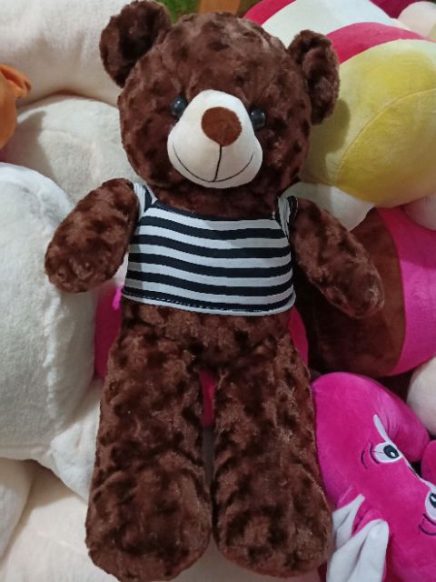 GẤU BÔNG TEDDY KHỔ VẢI 80CM CAO 60CM