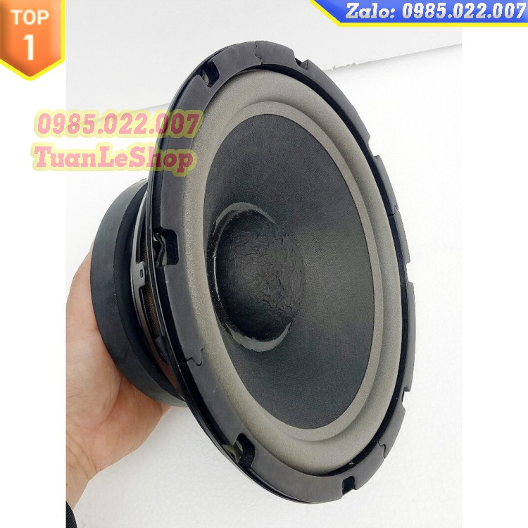 LOA BASS 2.5 TẤC MARTIN SẮT - GIÁ 1 CỦ LOA BASS 25