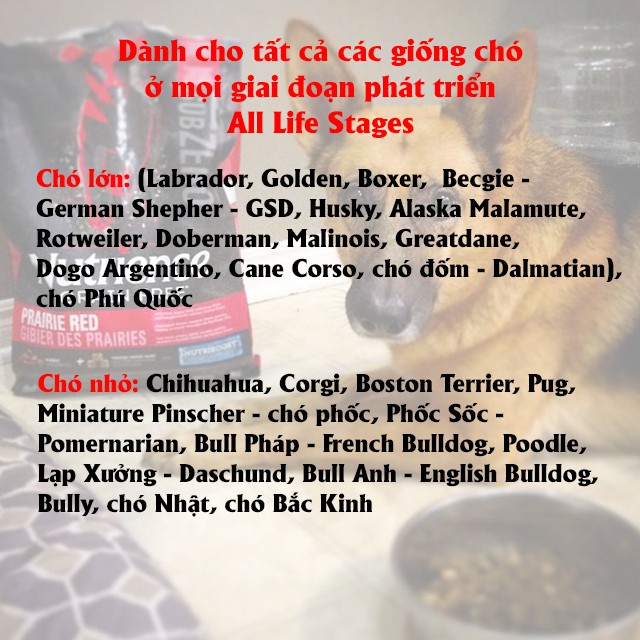 Thức Ăn Hạt Cho Chó Nutrience Subzero Bao 5kg - Thịt Bò, Cá Hồi, Cá Tuyết, Cá Trích, Rau Củ & Trái Cây Tự Nhiên
