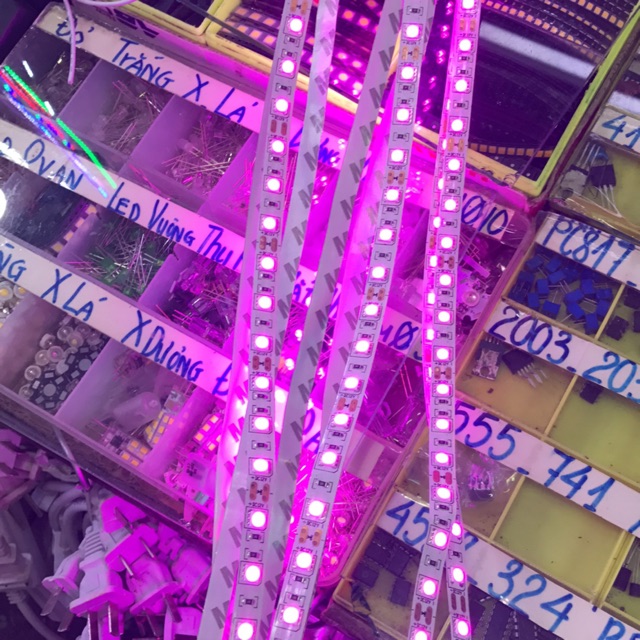 Led 5050 tím 5m