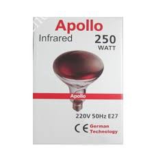 [Flash Sale]Bóng Đèn Hồng Ngoaị Trị Liệu Apollo 250W - Hàng Chính Hãng Mới Nhất 2020