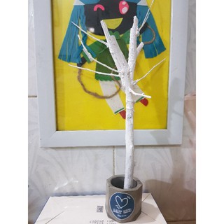 CÂY TRANG TRÍ NOEL GIÁNG SINH