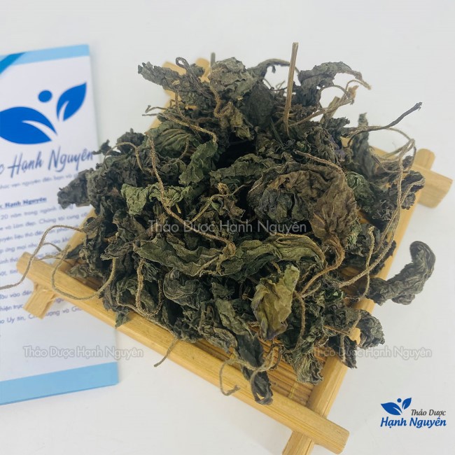 100g Lá tía tô khô, thơm - Thảo Dược Hạnh Nguyên