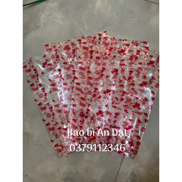 Túi Xoài PP in hoạ tiết