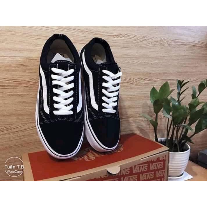 Giày thể thao ( Vans old skool )