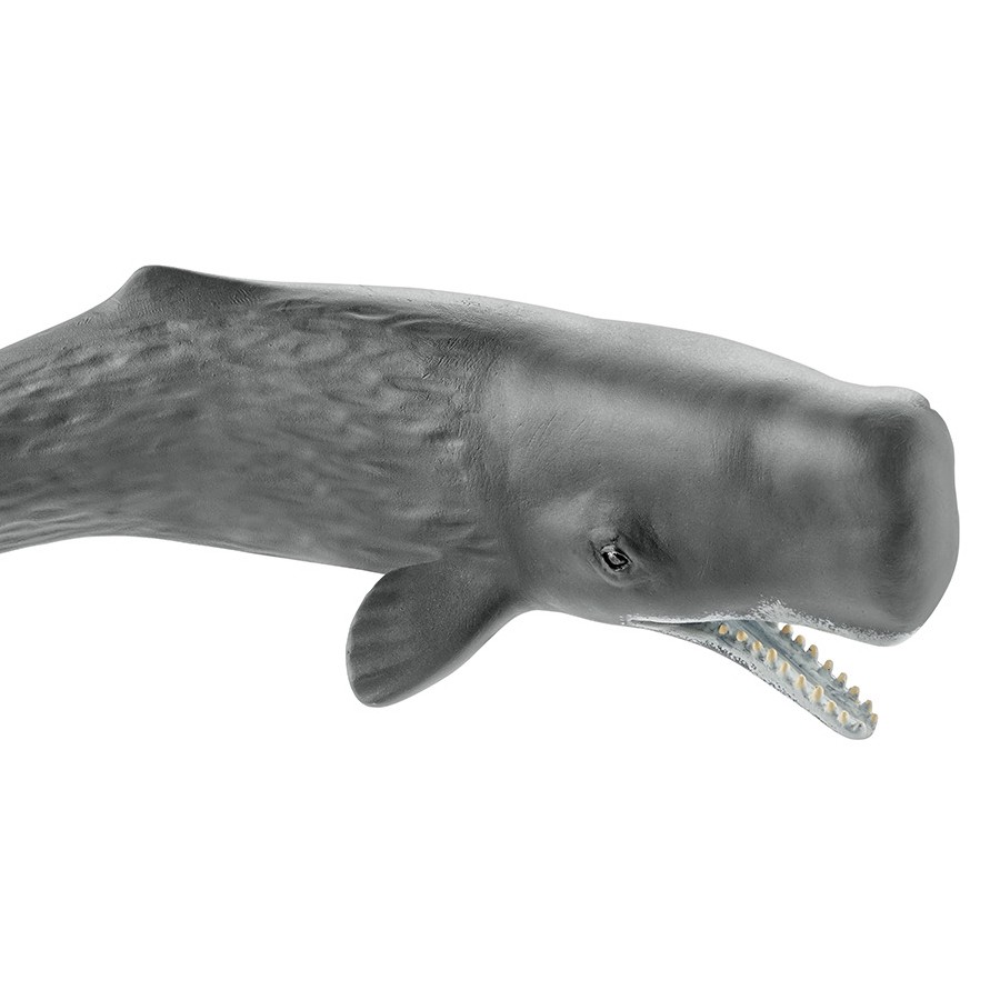 Mô hình SCHLEICH Cá nhà táng 14764