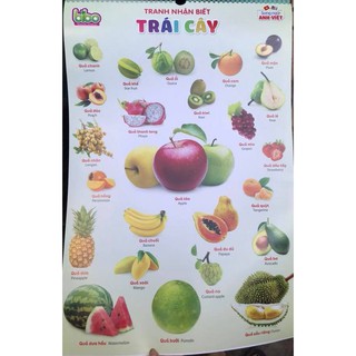 Bộ tranh treo tường dạy học cho bé