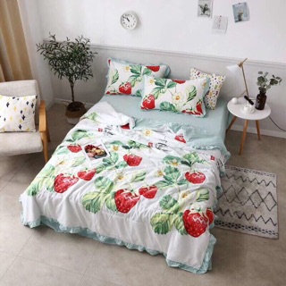 Set chăn hè bèo chất đũi mềm mát