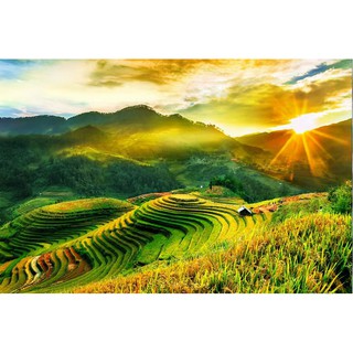 Tranh dán tường 3D PHONG CẢNH RUỘNG BẬC THANG ĐẸP NHẤT tranh có keo sẵn