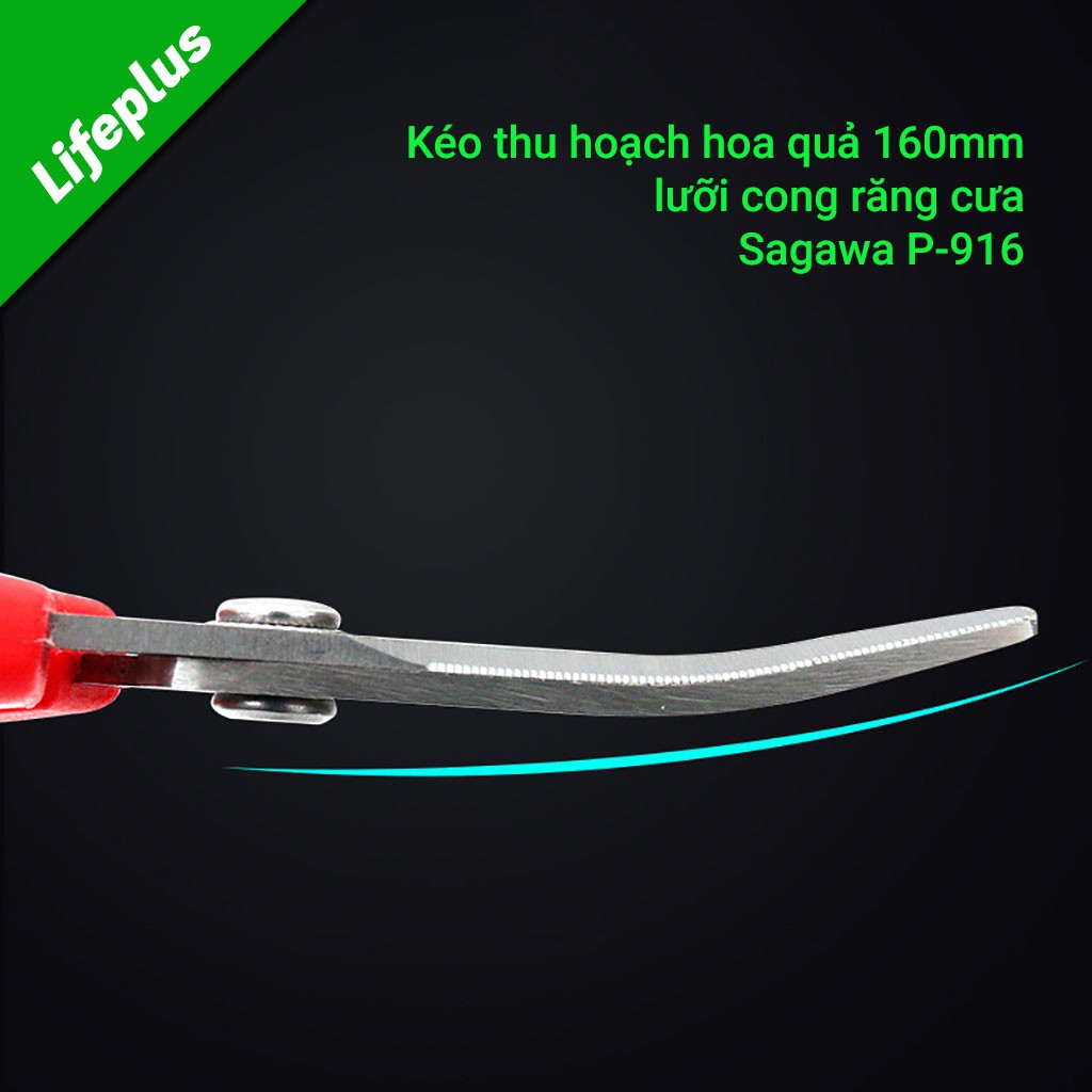 Kéo mũi cong thu hoạch hoa quả 160mm Sagawa P-916