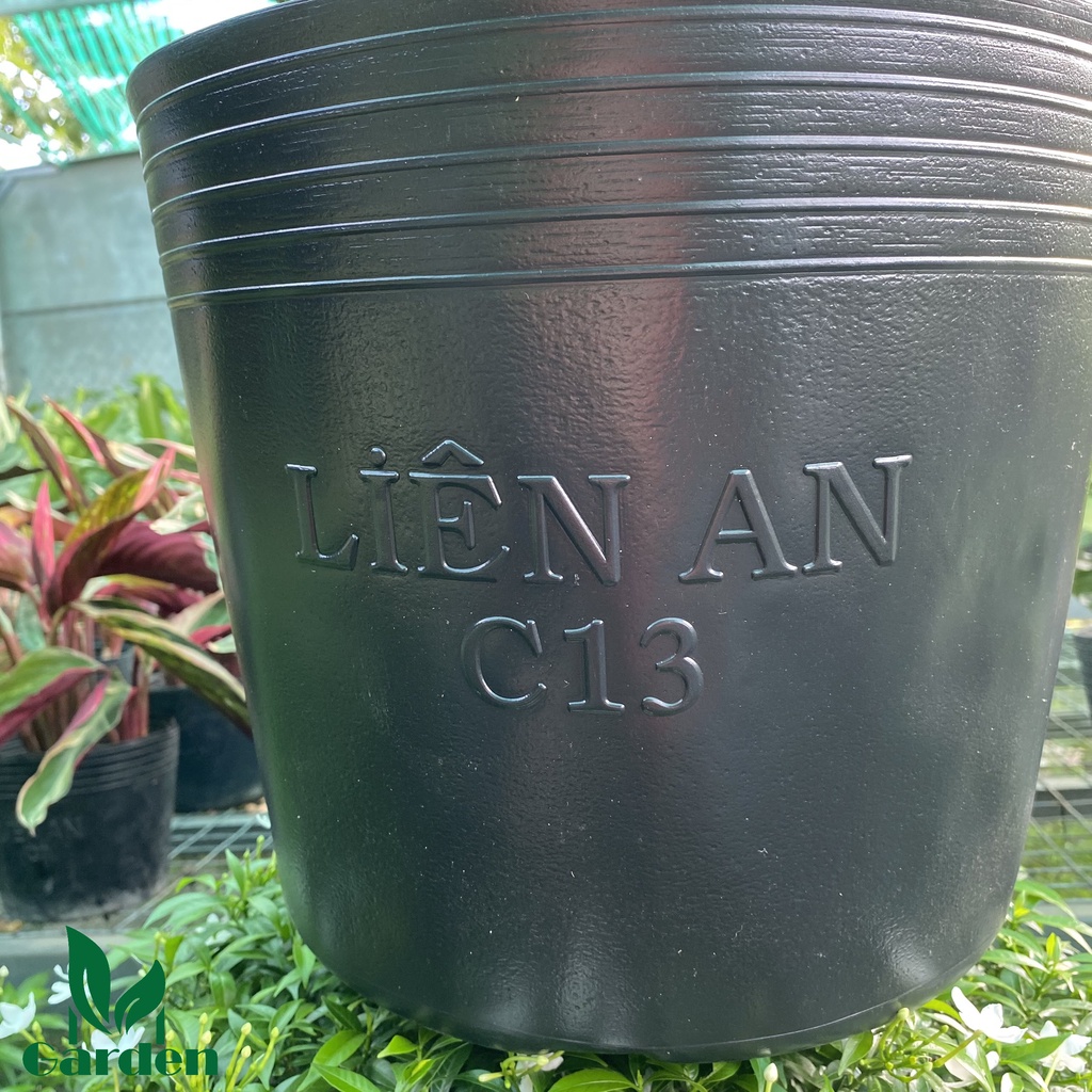 Chậu nhựa đen dẻo trồng và ươm cây C13  - Liên An