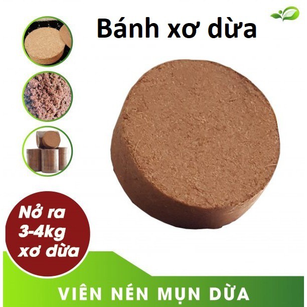 (Bánh lớn) Viên nén xơ dừa- viên nén ươm hạt giống