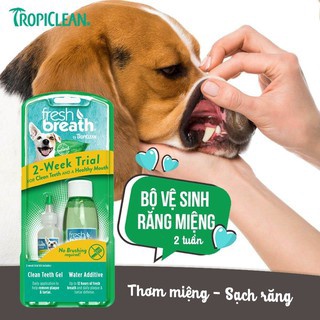 Bộ Chăm Sóc Răng Miệng Set mini 2 chai cho chó Và Mèo Fresh Breath Tropiclean Cao Cấp Mỹ