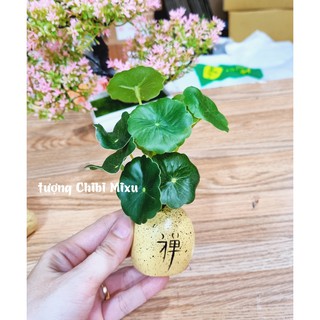 Chậu lá sen giả trang trí