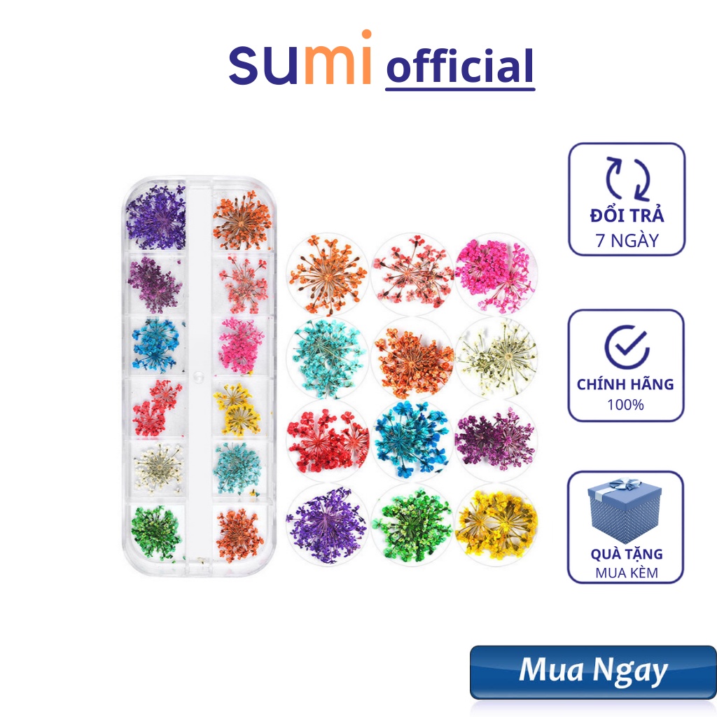 Hoa khô nail trang trí móng , hoa khô chùm 12 màu