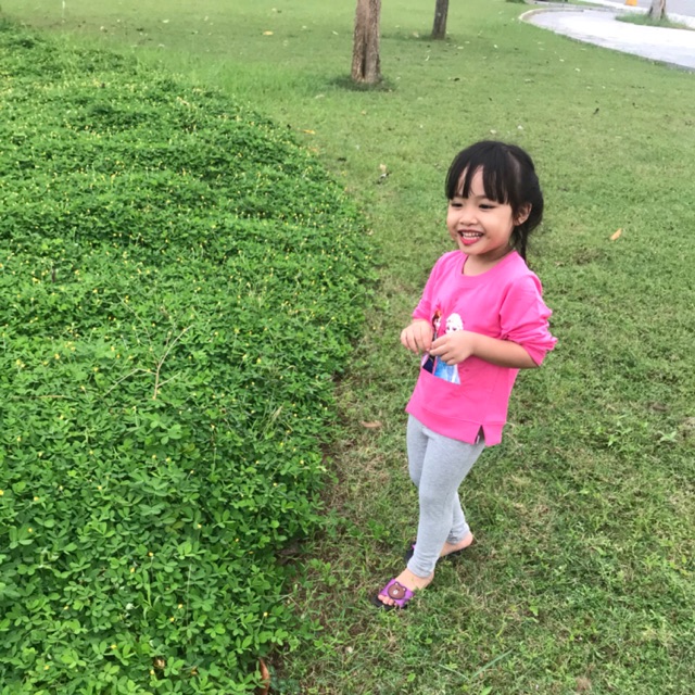 Combo quần tregging cho bé gái