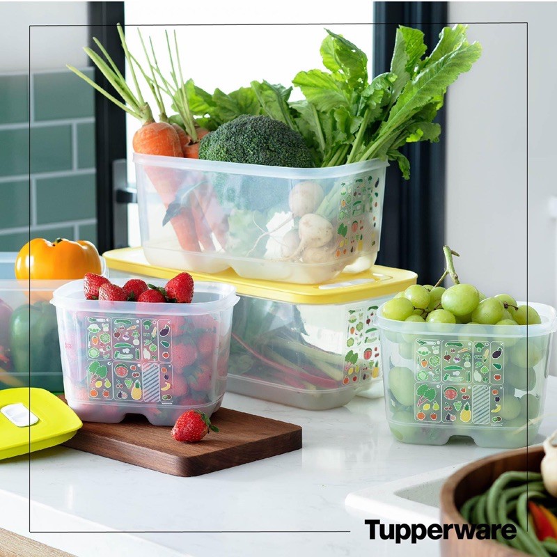 Bộ hộp trữ mát có nút hô hấp Tupperware Ventsmart 5 hộp-Hàng chính hãng Tupperware Việt Nam phân phối