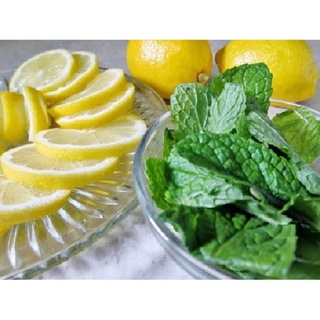 Kẹo Thảo Mộc Ricola 100gr