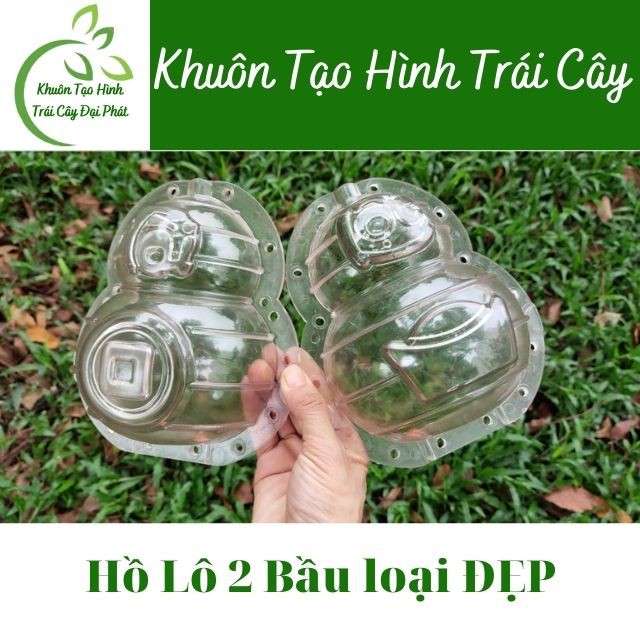 (Dày 4,5 li, in chữ Tài Lộc)Khuôn Hồ Lô 2 Bầu (1-1,4kg), Khuôn Bưởi loại đẹp, Tạo Hình Trái Cây Dưa Hấu, Đào Tiên