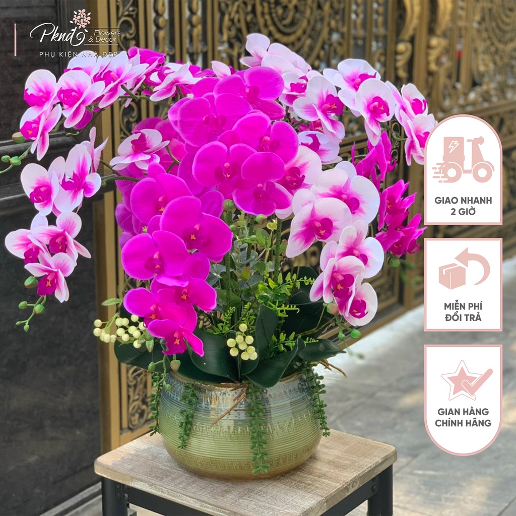 Bình hoa lan hồ điệp giả chất liệu cao su cao cấp trang trí đẹp PKND FLOWERS &amp; DECOR