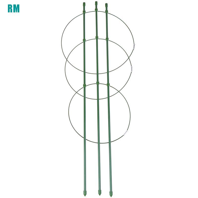 Khung Hỗ Trợ Trồng Cây Dây Leo 60cm