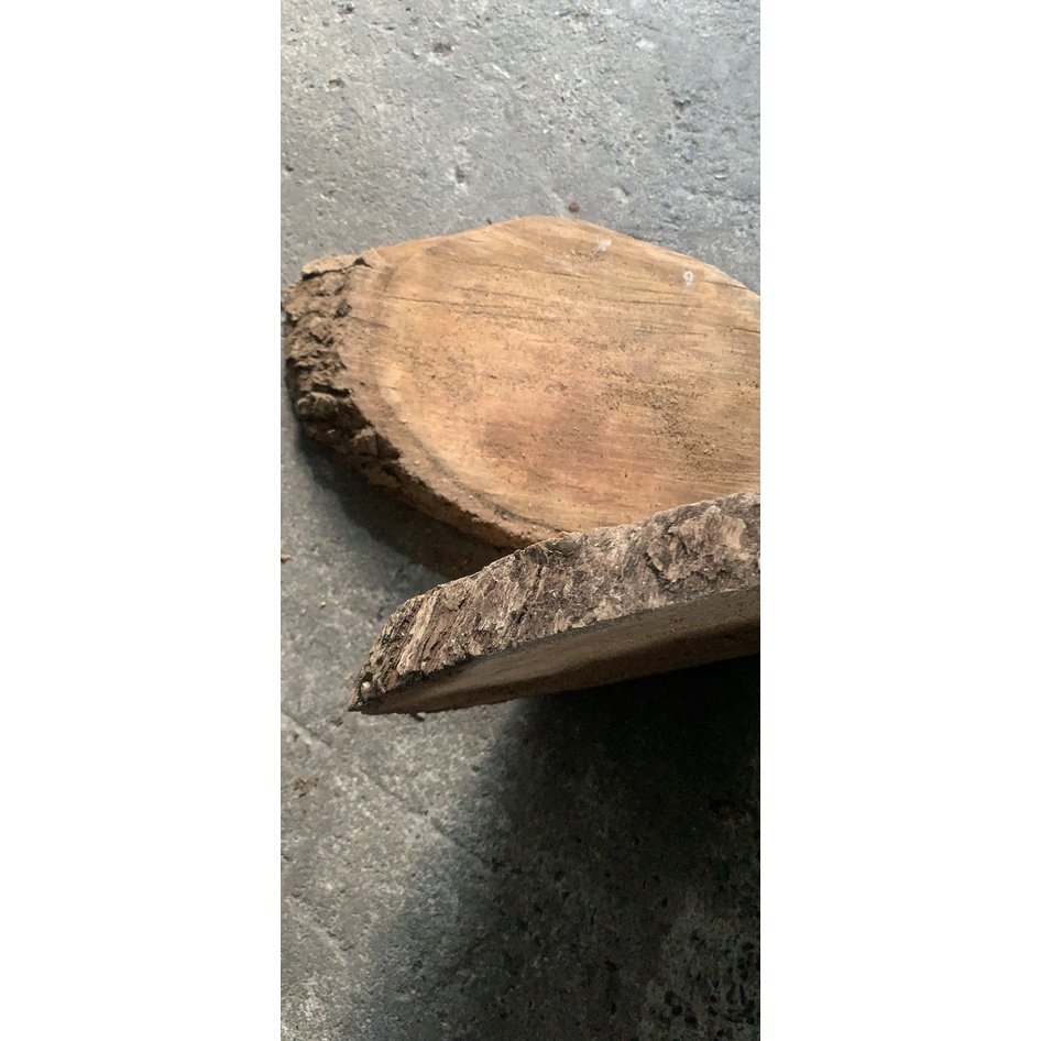 Bộ 02 miếng thớt gỗ sữa trồng lan đường kính trên 20 cm