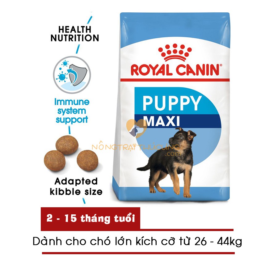 Hạt ROYAL CANIN MAXI PUPPY cho giống chó lớn- Thức ăn chó Becgie Đức, Husky, Alaska, Rottweiler,(4kg)
