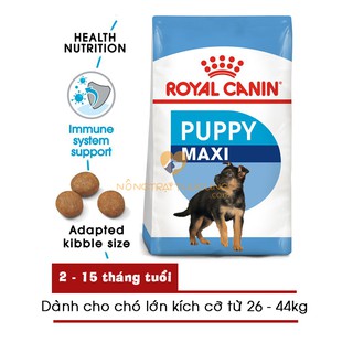 [1KG] Thức ăn chó ROYAL CANIN MAXI PUPPY cho giống chó lớn - Thức ăn cho chó Becgie Đức, Husky, Alaska, Rottweiler