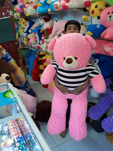 Gấu bông teddy khổ vải 1m4 cao 1m2