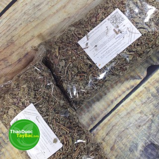 Trà Dây Leo - Tra Day Leo