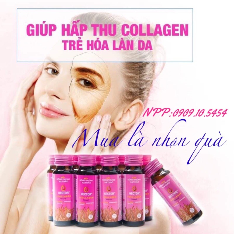 (CHÍNH HÃNG) Combo 02 hộp Đông Trùng Hạ Thảo Hector Collagen (10 chai/ hộp)