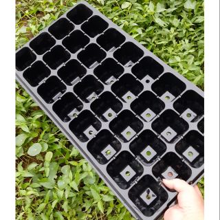 10 khay ươm cây giống 32 lỗ