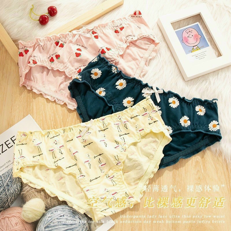 Chuyên sỉ Lố 10 quần cotton dailly 331 siêu xinh