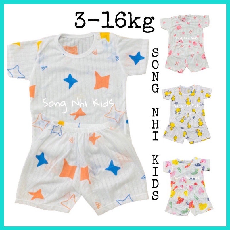 BỘ COTTON GIẤY CỘC TAY CHO BÉ TỪ 3 ĐẾN 16KG