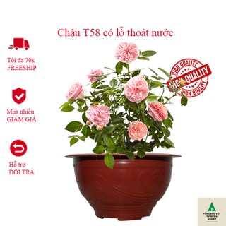 Chậu tròn trồng cây T58 có lỗ thoát nước rộng 56cm cao 27,8cm hàng dày đẹp
