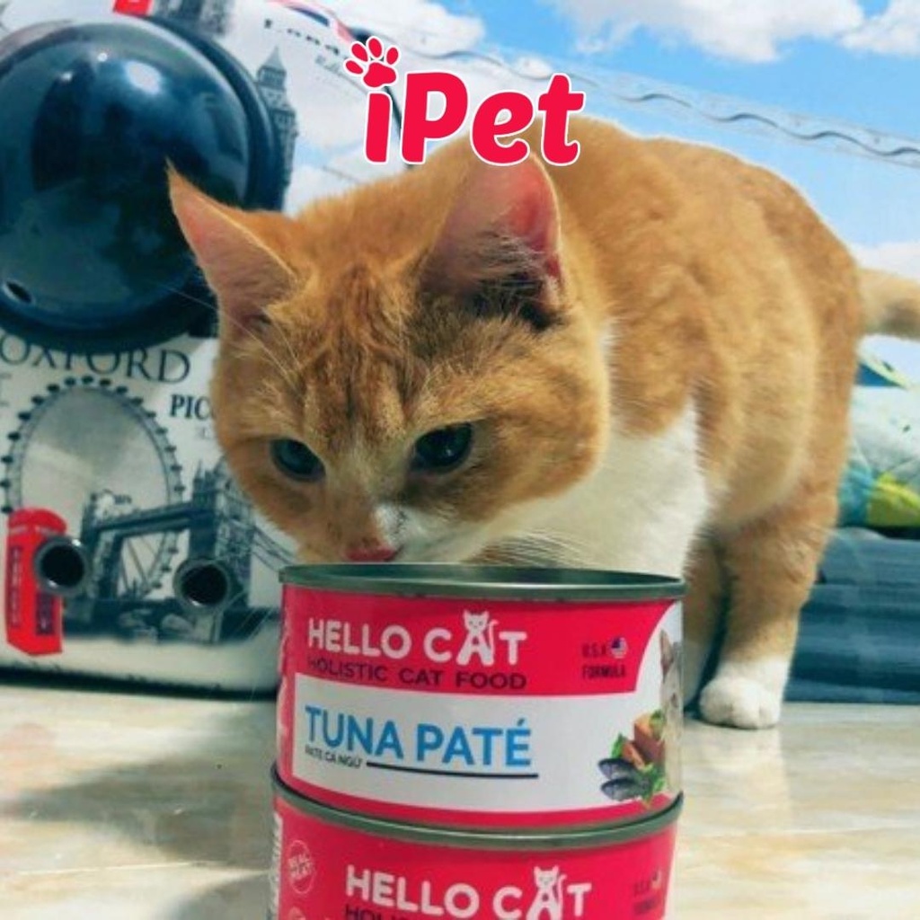 Thức ăn pate cho mèo HELLO CAT lon 190g - iPet Shop